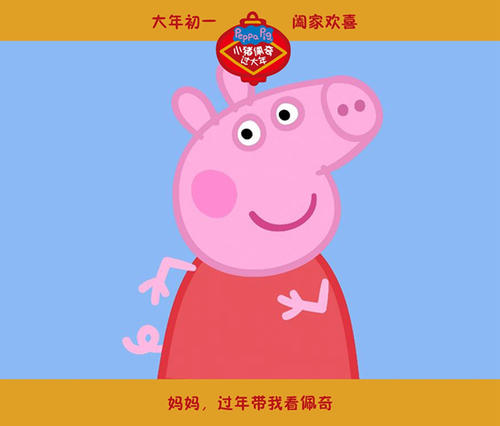 哪里可以制作南非护照电子版